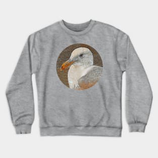 Gull Close-Up No.1 Crewneck Sweatshirt